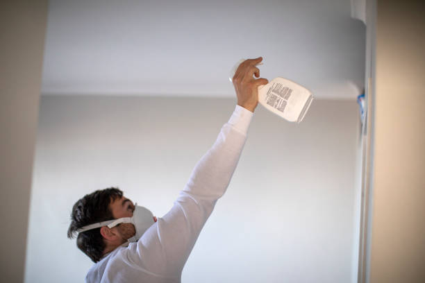 Best Local Mold Removal Service  in Wyboo, SC