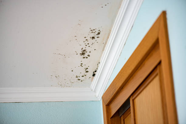 Water Damage Restoration in Wyboo, SC