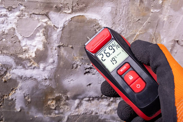 Wyboo, SC Mold Removal Company