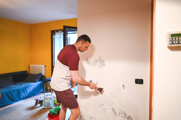 Best Certified Mold Removal  in Wyboo, SC